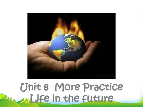 牛津深圳版八年级英语下册Unit8 More Practice课件