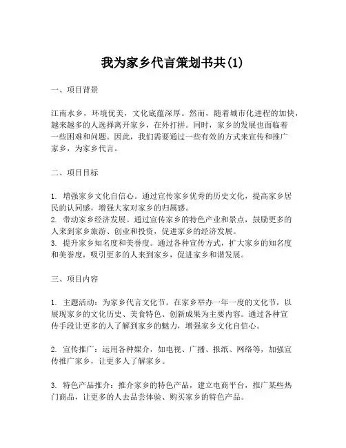 我为家乡代言策划书共(1)