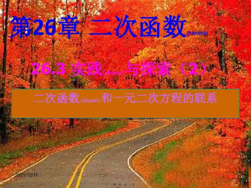 九年级数学下册 26.3 实践与探索课件