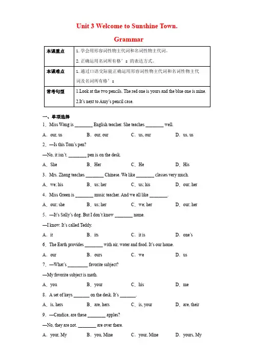 Unit 3 语法名词所有格和物主代词(解析版) (牛津译林版)七年级英语下册
