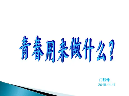 你要青春干什么