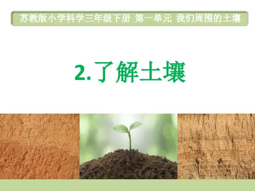 三年级下册科学课件1.2 了解土壤 苏教版 (共16张PPT)