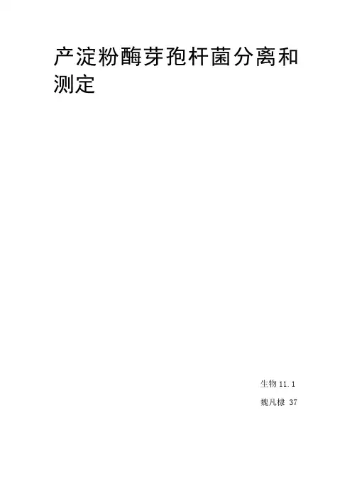 产淀粉酶芽孢杆菌分离和测定