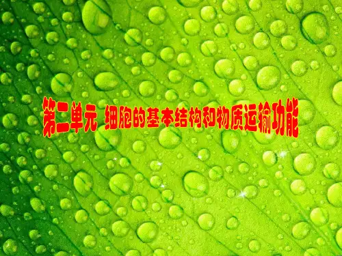 生物步步高大一轮复习讲义第二单元 第6讲(课时讲课)