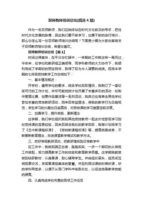 双师教师培训总结（精选4篇）