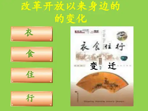 改革开放以来身边的变化 ppt课件