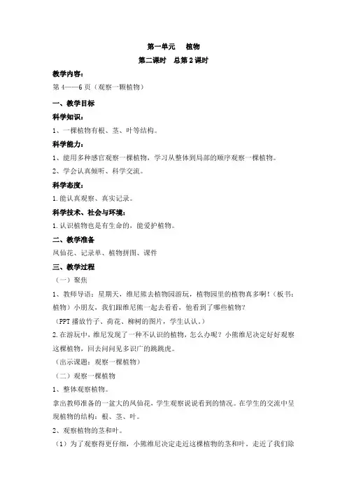 教科版科学一年级上册1.2《观察一颗植物》word教案