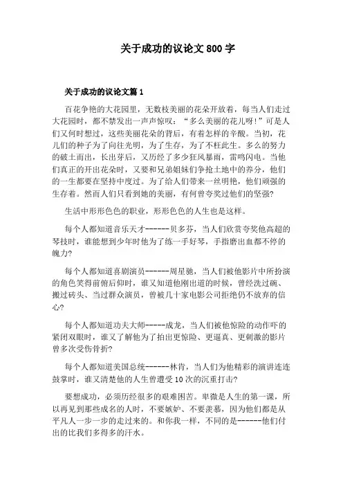 关于成功的议论文800字