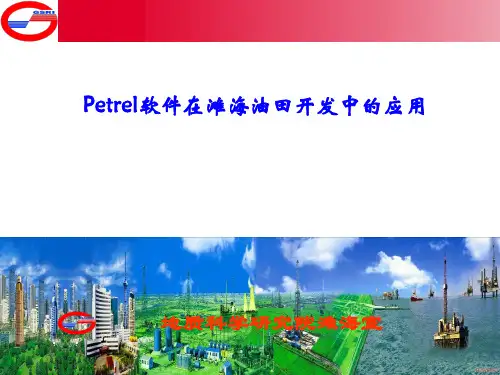 Petrel软件在滩海油田开发中的应用