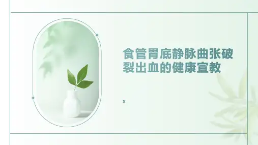 食管胃底静脉曲张破裂出血的健康宣教