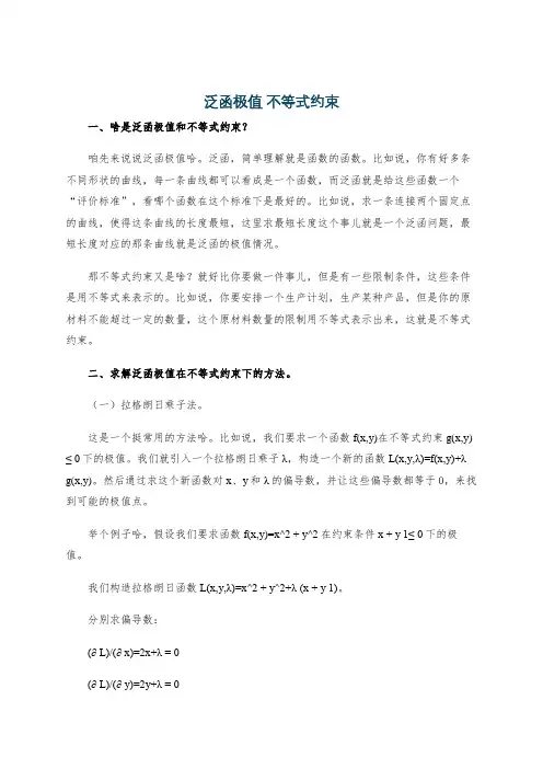 泛函极值 不等式约束