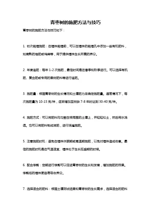 青枣树的施肥方法与技巧
