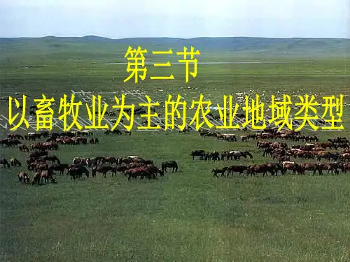 畜牧业