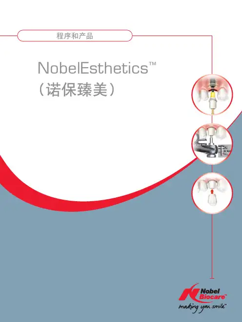 Nobel系统基台选择
