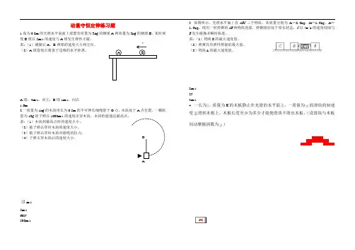 高二物理 动量守恒定律练习题 新人教版选修3-5