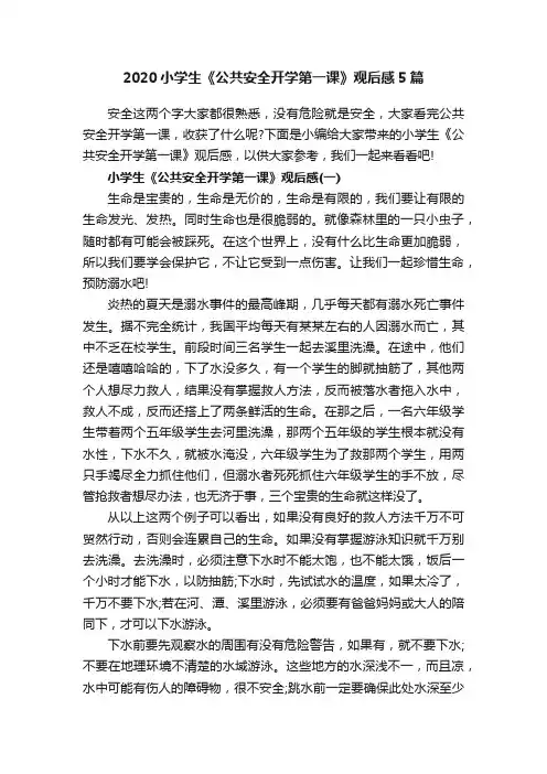 2020小学生《公共安全开学第一课》观后感5篇