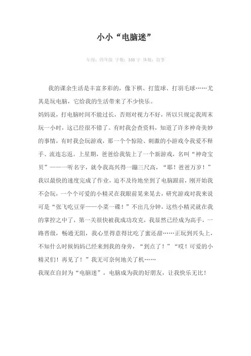 小小“电脑迷”350字作文