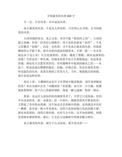 寻找最美的风景作文600字