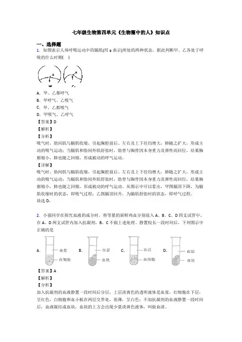 七年级生物第四单元《生物圈中的人》知识点