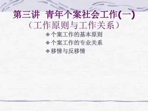 《青年个案社会工作》PPT课件