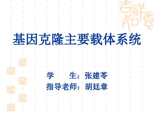 基因克隆主要载体系统