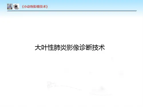 【小动物影像技术课件】大叶性肺炎影像诊断技术