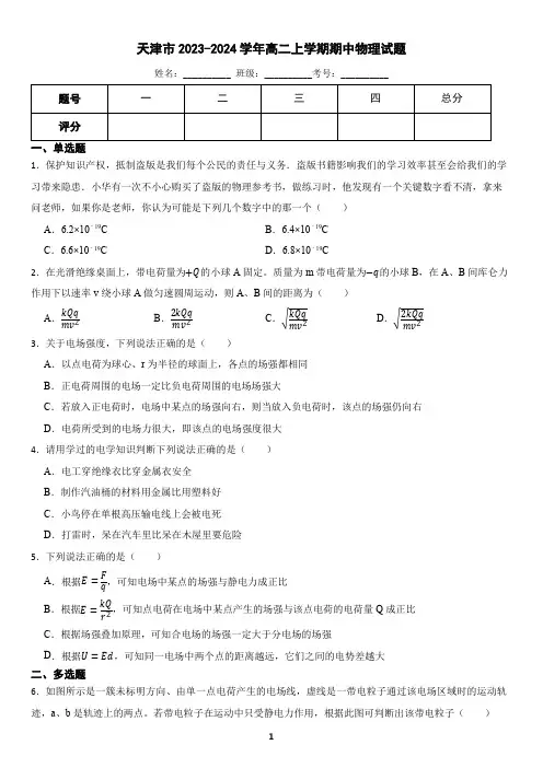 天津市2023-2024学年高二上学期期中物理试题(含答案)
