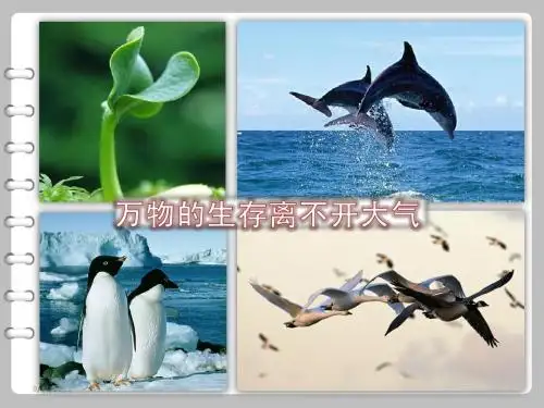 大气的组成和垂直分层