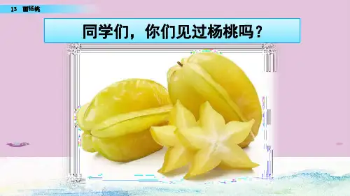 二年级下册语文课件-13 画杨桃 (部编版)(共59张PPT)