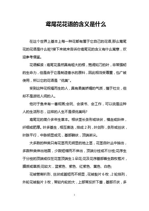 鸢尾花花语的含义是什么