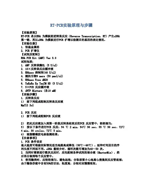 RT-PCR实验原理与步骤