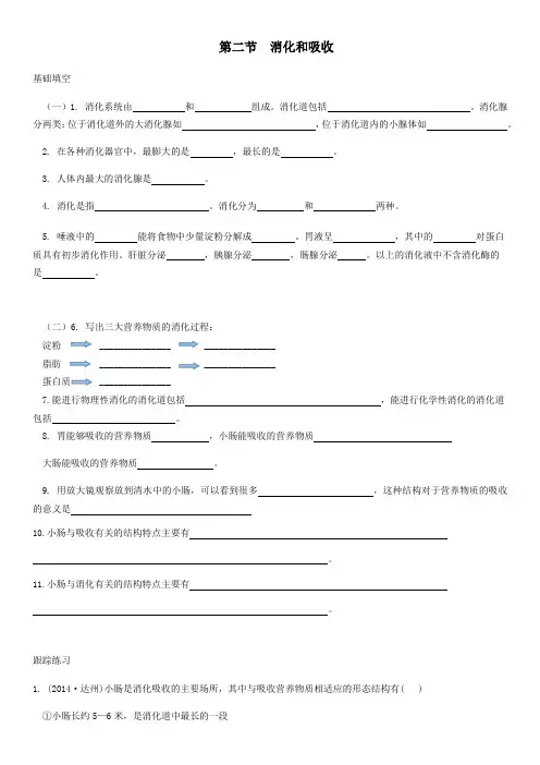 人教版七年级生物下册4.2.2消化和吸收  练习题(无答案)
