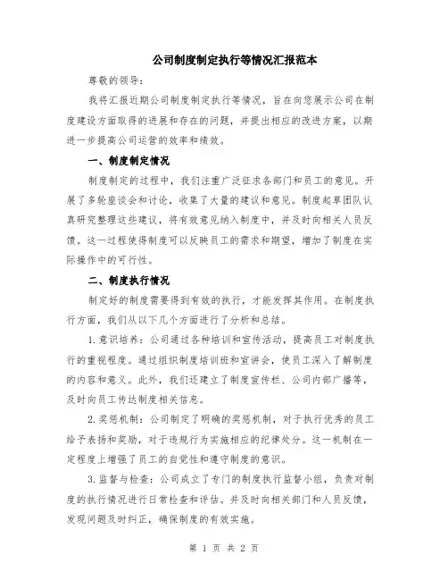 公司制度制定执行等情况汇报范本