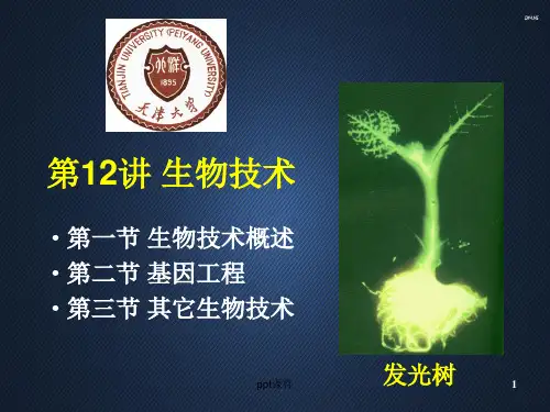 生物技术  ppt课件