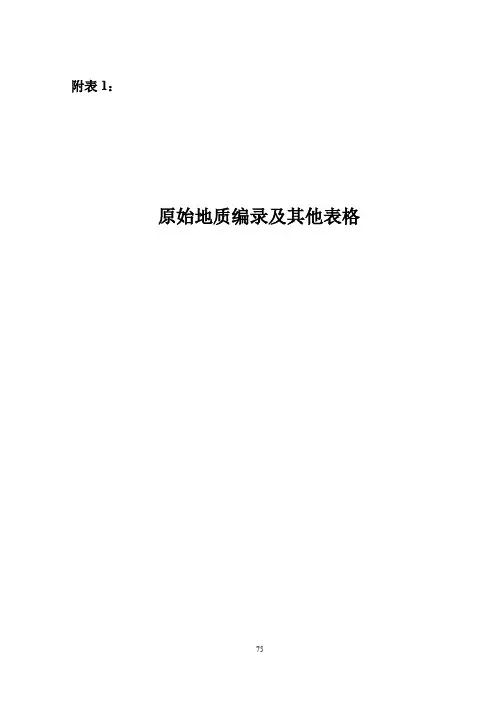 原始地质编录及其他表格