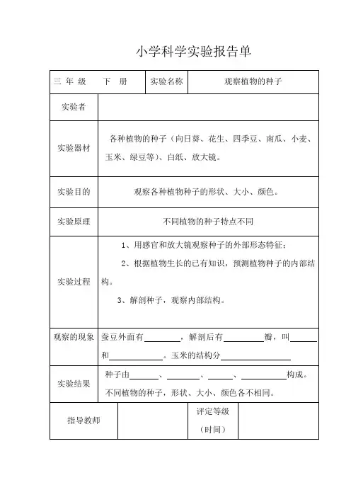 教科版小学三年级科学下册全册实验报告单