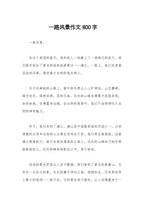一路风景作文800字