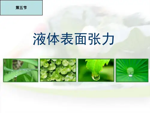 第五节 液体表面张力(上课)
