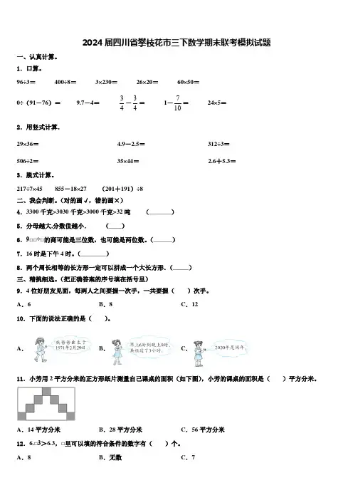 2024届四川省攀枝花市三下数学期末联考模拟试题含解析