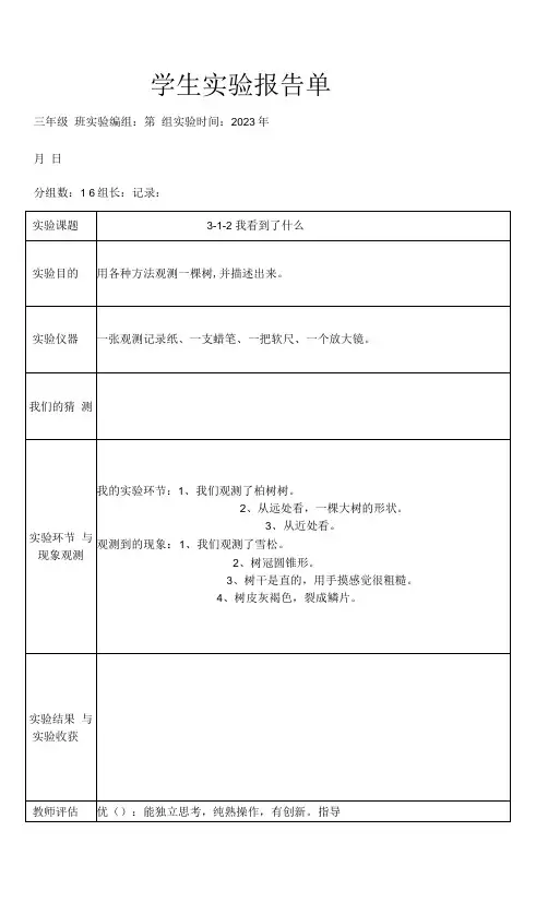 2023年教科版三年级上册科学学生实验报告