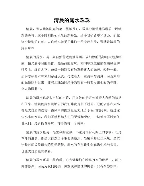 清晨的露水珠珠