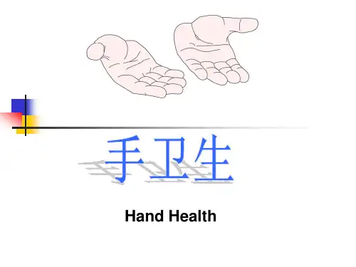 手卫生课件 图文