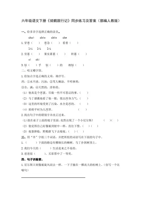 六年级语文下册《骑鹅旅行记》同步练习及答案(部编人教版)