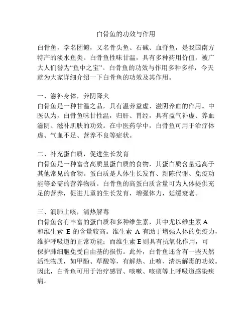 白骨鱼的功效与作用
