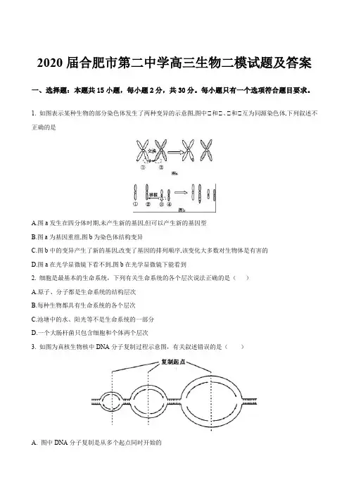 2020届合肥市第二中学高三生物二模试题及答案