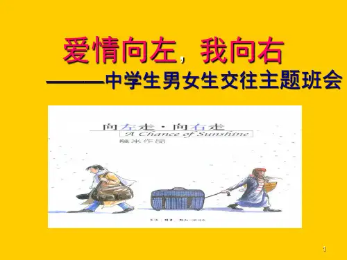中学生正确处理男女关系(课堂PPT)