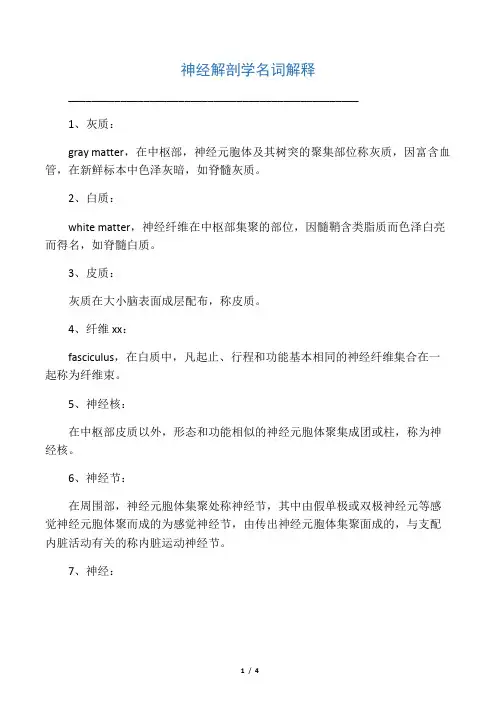 神经解剖学名词解释