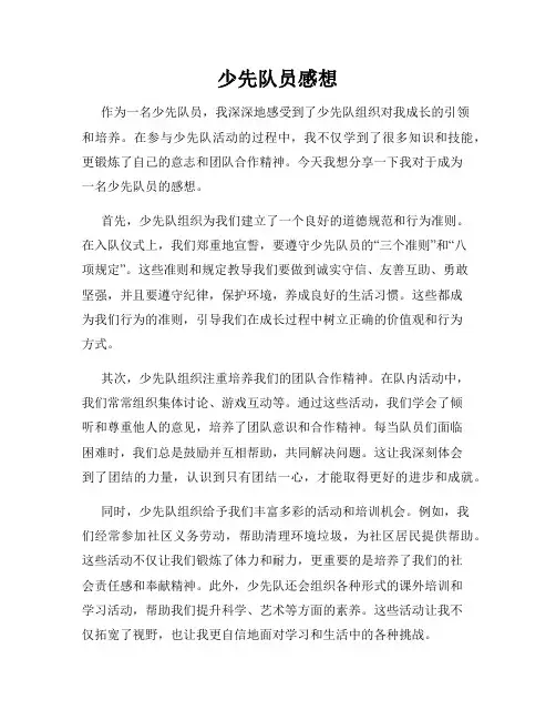 少先队员感想