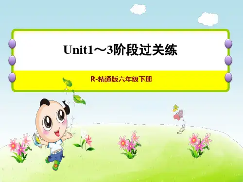 人教精通版六年级下册英语 Fun Time 1 Unit 1～3 阶段过关练