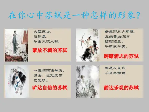 《江城子乙卯正月二十日夜记梦》ppt课件26张